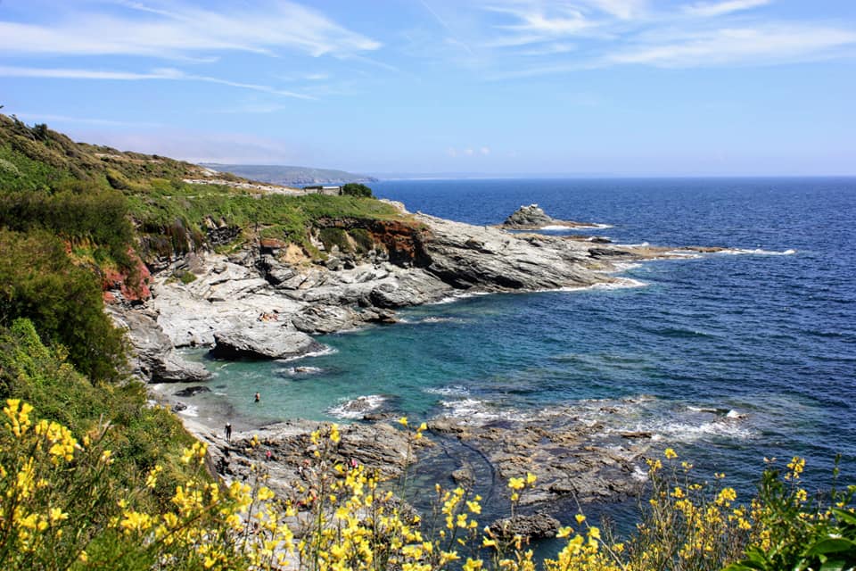 C:\fakepath\Prussia Cove